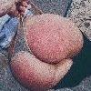 foto do perfil sexybrat21